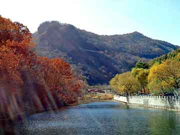 新澳天天开奖资料大全旅游团，北京工具柜